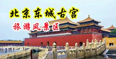 男女OX动态图片中国北京-东城古宫旅游风景区